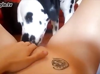 Sexyi Videos