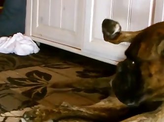 Webcam 9 7 Nov 2015 Samy xxxxx