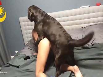 Veronica Greatest Hits Compilation xxxxx