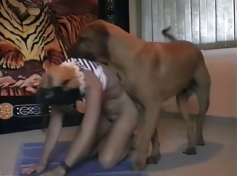 Training Jenks Improved xxxxx