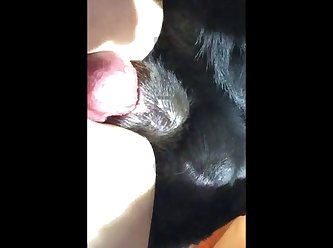 Farm Girl Animal Sex