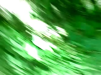 Animal Sex Video