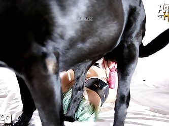 Animal Sex Whatsapp Link