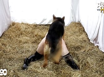 Animal Sex Whatsapp Link