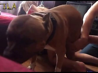 Dirty Teen Gay Fun With Dog Animal Sex