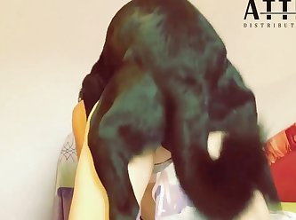 Xxx Animal Sex Hd