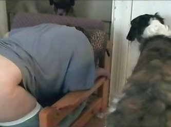 Mississippi Zoo Porn