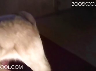 Game Animal Sex