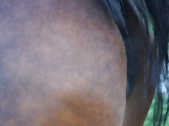 Animal Sex Telegram Group Link