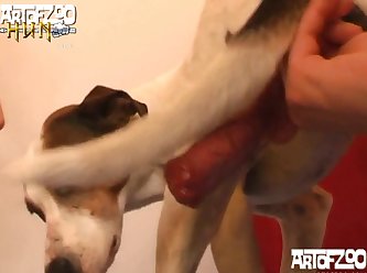 Racconti Animal Sex