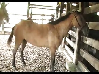 Light Madonna Ass And Stud 3