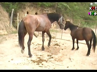 Huge Stallion Vs Mare Pink Sc 03