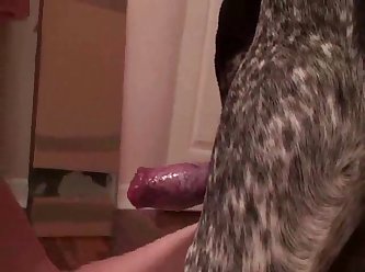 I Love My Dogs Cum