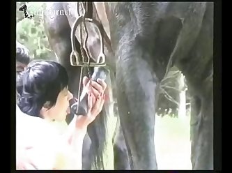 Homosexuelle Zoophilie Mit Pferden Movies