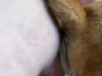 Man Fucking Female Dog Porn