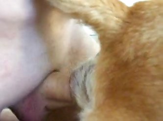 Man Fucking Female Dog Porn