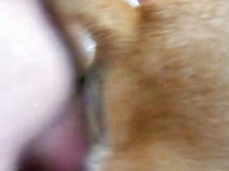 Man Fucking Female Dog Porn