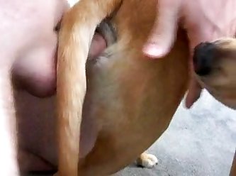 Man Fucking Female Dog Porn