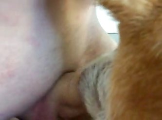 Man Fucking Female Dog Porn