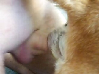 Man Fucking Female Dog Porn