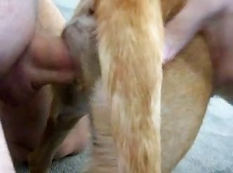Man Fucking Female Dog Porn