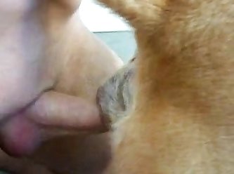 Man Fucking Female Dog Porn