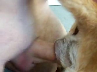 Man Fucking Female Dog Porn