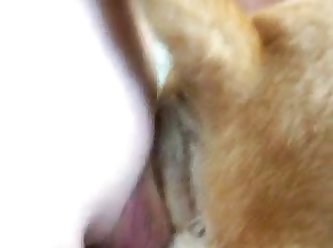 Man Fucking Female Dog Porn