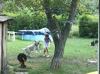 Dog Porn Puppy