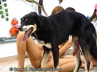 Zoophilie Homme Baise Chienne
