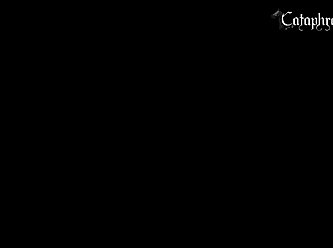 Dog Porn 1080p