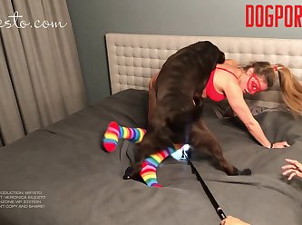 Man Cums In Female Dog Porn