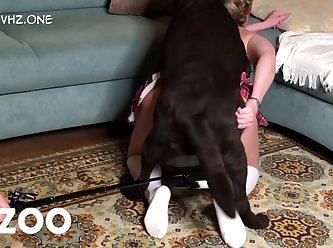 Dog Porn Porn