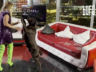 Mind Control Dog Porn