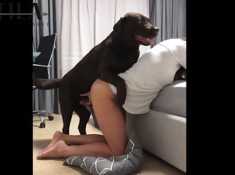 Gay Beast Dog Porn