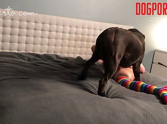 Art Of Zoo Gif Horse