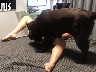 Fucked A Dog Porn
