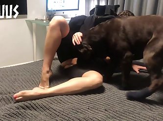 Fucked A Dog Porn