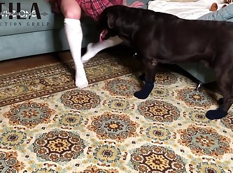 First Dog Porn