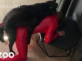Fingering Dog Porn