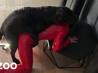Fingering Dog Porn