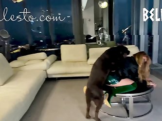 Zoophilie Chiens