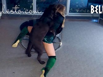 Zoophilie Chiens