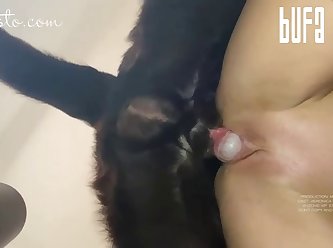 Girl Caught With Dog Porn
