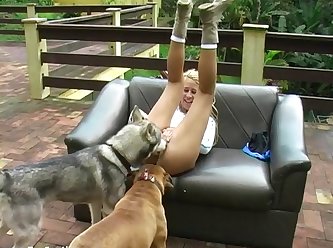 Screaming Dog Porn