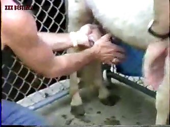 Mom And The Dog Porn