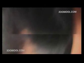 Two Men And Dog Porn