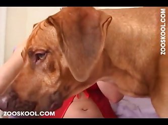 Smiling Dog Porn Comic