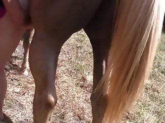 Pussy Licking Dog Porn