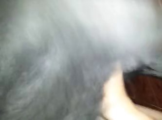 Full Animal Sex Videos